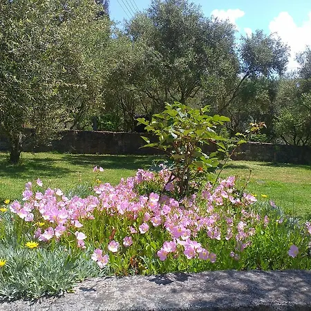 Appartamento Rossi's *