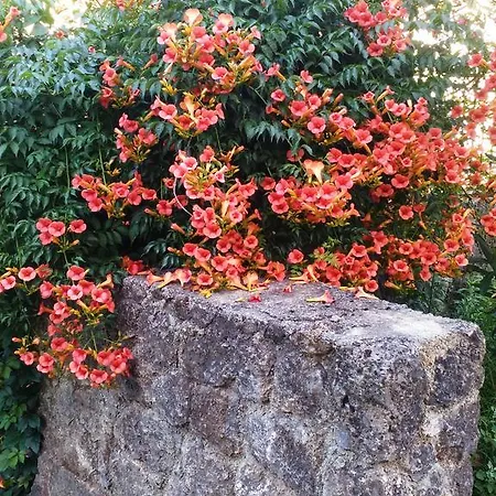 Appartement Rossi's Moraḯtika